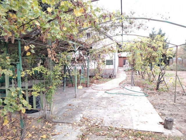 Eladó családi ház, Szatymazon 39.9 M Ft, 1 szobás
