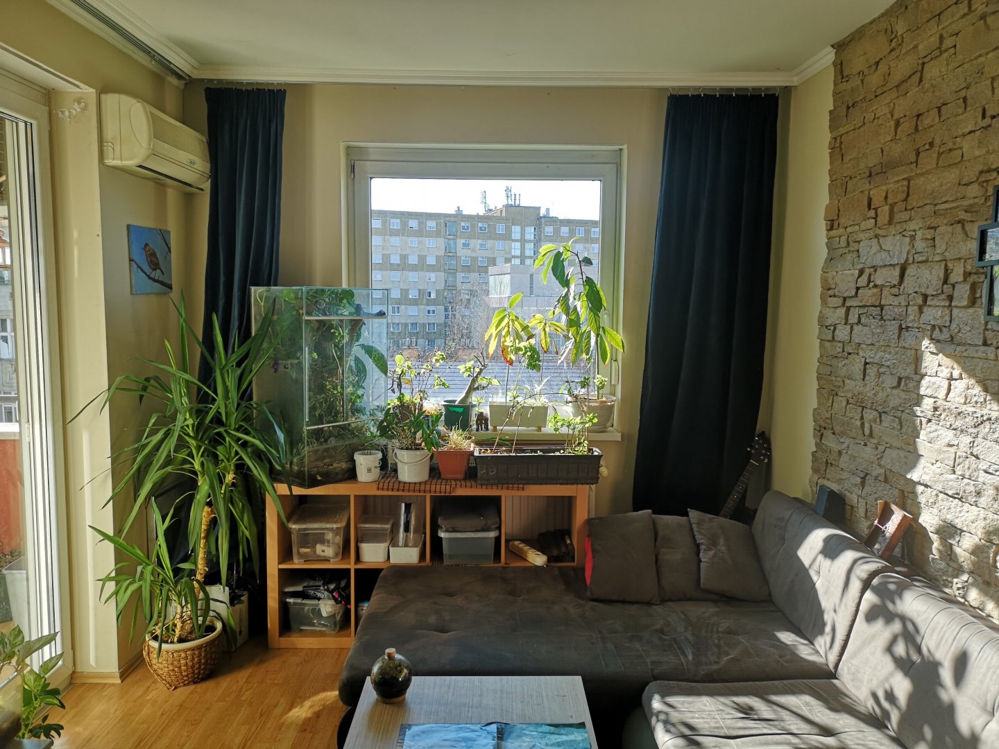 2 hálószoba · 50 m² · 250.000 Ft