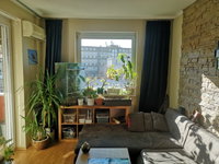 Kiadó téglalakás, albérlet, XIII. kerületben, Szent László úton