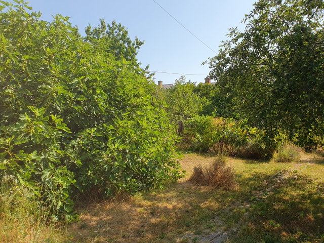 Eladó családi ház, Tapolcán 84.9 M Ft, 4+1 szobás