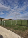 Eladó mezogazdasagi ingatlan, Szomoron 7 M Ft