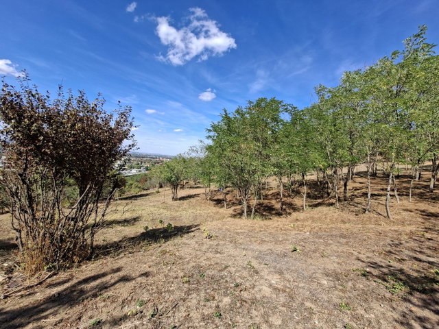 Eladó telek, Esztergomban, Világoshegy dűlőn 85 M Ft