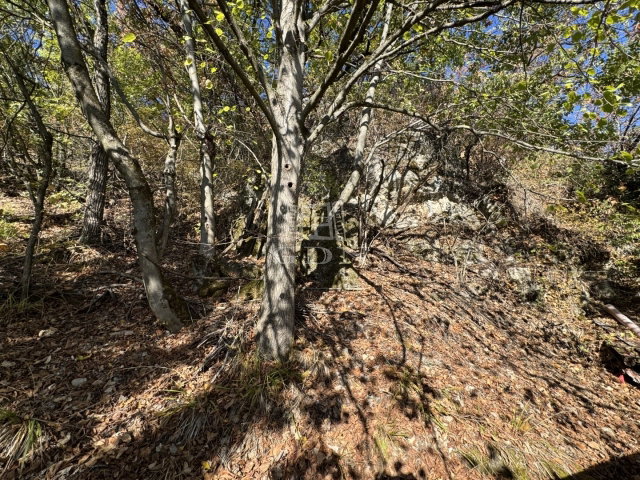 Eladó családi ház, Csákváron 26.9 M Ft, 1 szobás