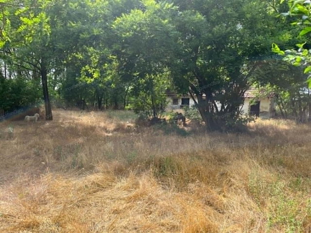 Eladó mezogazdasagi ingatlan, Szentkirályon 150 M Ft, 3 szobás