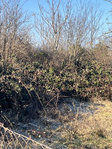 Eladó telek, Győrött 150 M Ft / költözzbe.hu