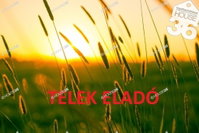 Eladó telek, Kecskeméten 14.99 M Ft / költözzbe.hu