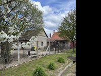 Eladó családi ház, Bakson 4.5 M Ft, 1 szobás
