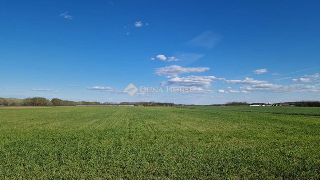 Eladó mezogazdasagi ingatlan, Sülysápon 40.5 M Ft