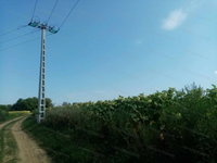 Eladó mezogazdasagi ingatlan, Igalon 2.99 M Ft