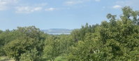 Eladó mezogazdasagi ingatlan, Balatonberényben 42.5 M Ft
