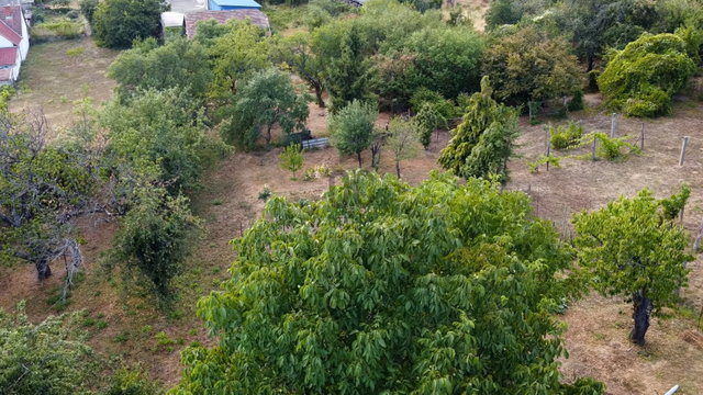 Eladó ikerház, Pécsett 48 M Ft, 4 szobás / költözzbe.hu