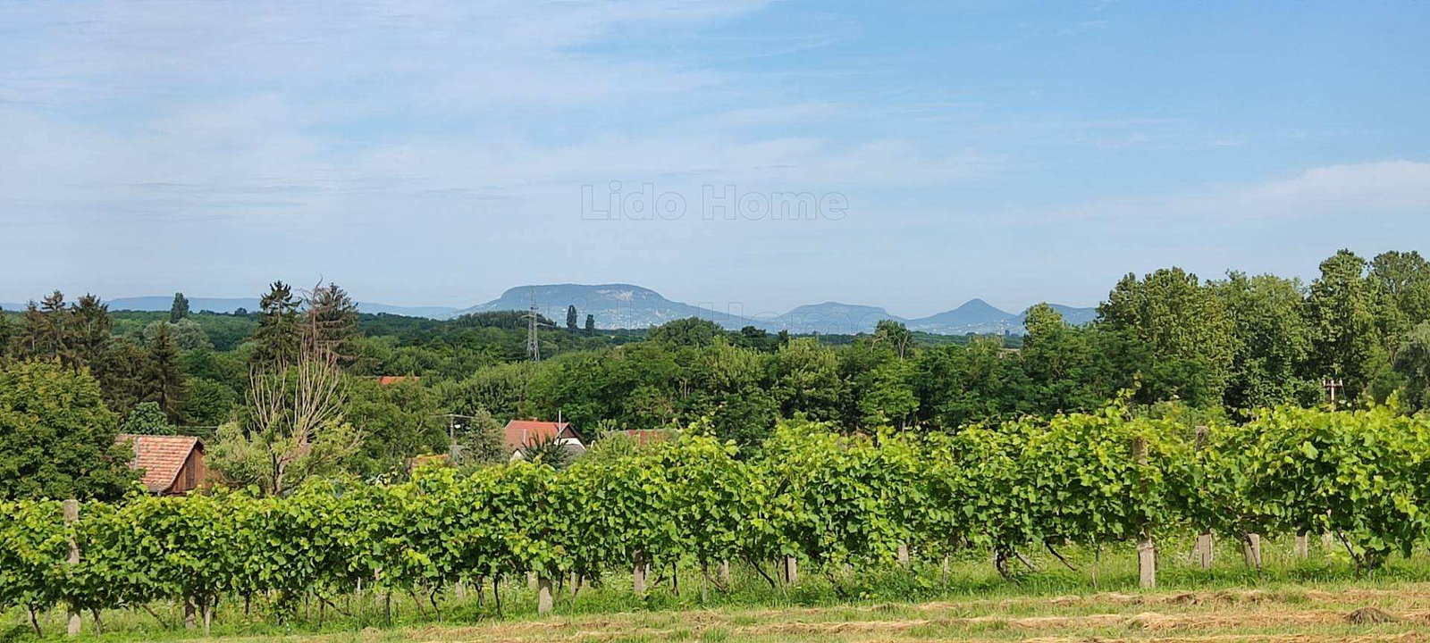 1792m² · 19.000.000 ft