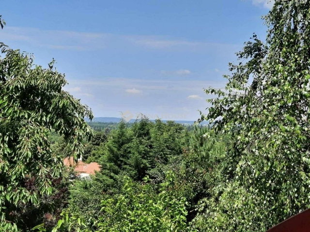 Eladó családi ház, Pátyon 170 M Ft, 5 szobás