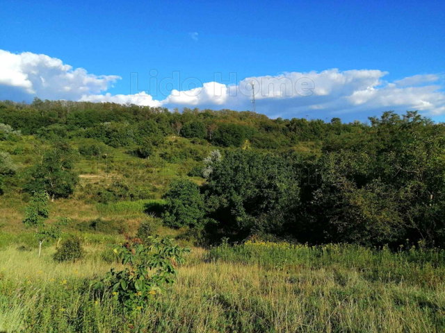 Eladó mezogazdasagi ingatlan, Kötcsén 5.9 M Ft