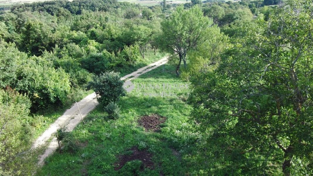 Telek · 124 m² · 16.000.000 Ft