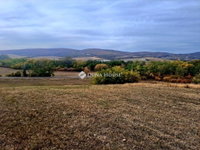 Eladó ipari ingatlan, Pásztón 35 M Ft / költözzbe.hu