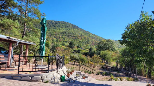 Eladó családi ház, Kővágószőlősön 43.9 M Ft, 2 szobás