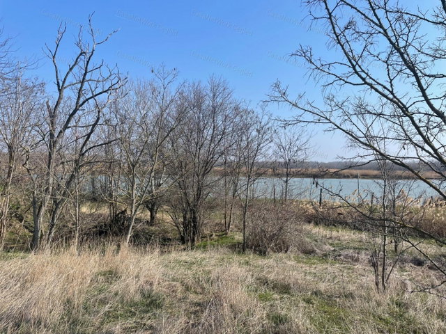Eladó mezogazdasagi ingatlan, Szolnokon 45 M Ft