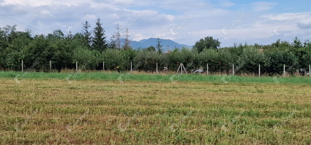 Eladó telek, Sárospatakon 9.9 M Ft / költözzbe.hu