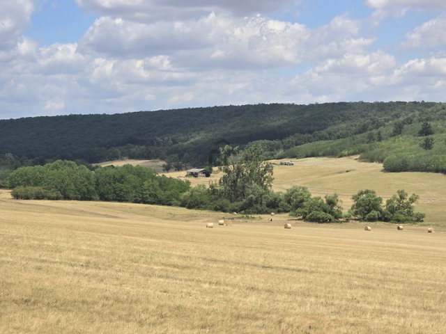 Eladó mezogazdasagi ingatlan, Aszódon 1120 M Ft
