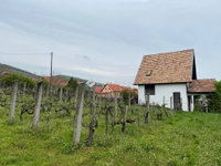 Eladó nyaraló, Pécsett, Mezsgye dűlőn 20 M Ft, 1 szobás