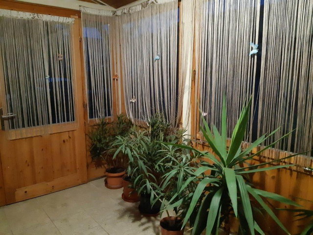 Eladó családi ház, Szentesen 43 M Ft, 6 szobás
