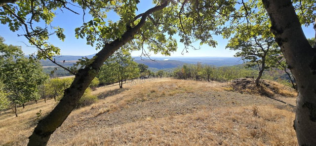 Eladó telek, Kismaroson 249 M Ft / költözzbe.hu