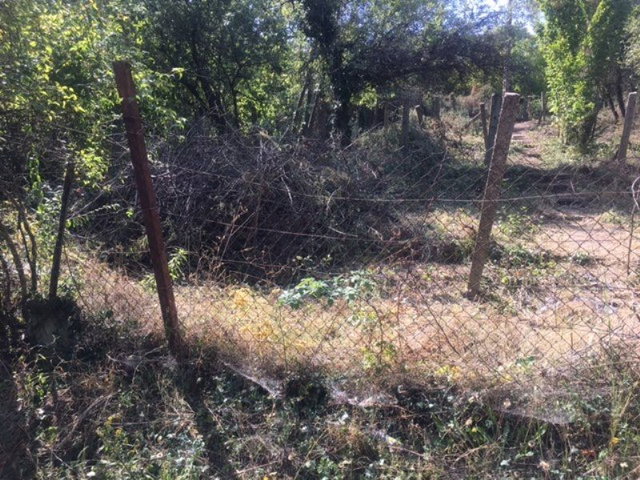 Eladó mezogazdasagi ingatlan, Miskolcon 1.65 M Ft