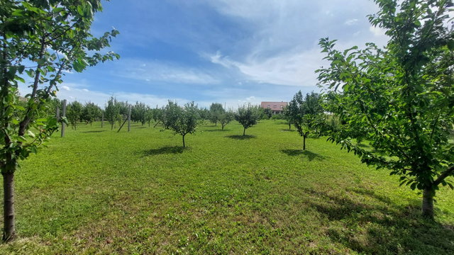 Eladó telek, Etyeken 149 M Ft / költözzbe.hu
