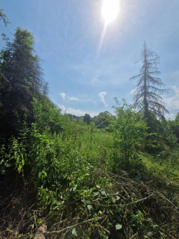 Eladó ipari ingatlan, Komlón 150 M Ft, 2 szobás