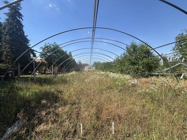 Eladó mezogazdasagi ingatlan, Sándorfalván 30 M Ft