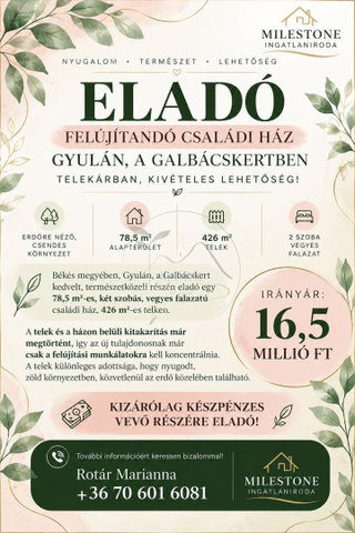 Eladó családi ház, Gyulán 16.5 M Ft, 2 szobás
