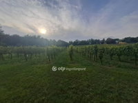 Eladó telek, Káptalantótin 9.5 M Ft / költözzbe.hu