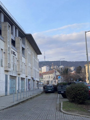 Eladó üzlethelyiség, Pécsett 250 M Ft, 8 szobás