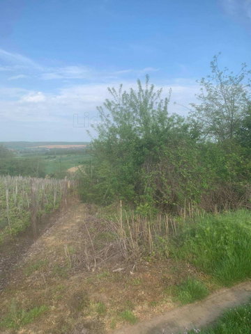Eladó mezogazdasagi ingatlan, Balatonendréden 7 M Ft
