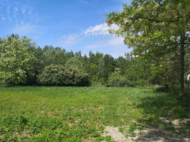 Eladó telek, Győrzámolyon 38 M Ft / költözzbe.hu