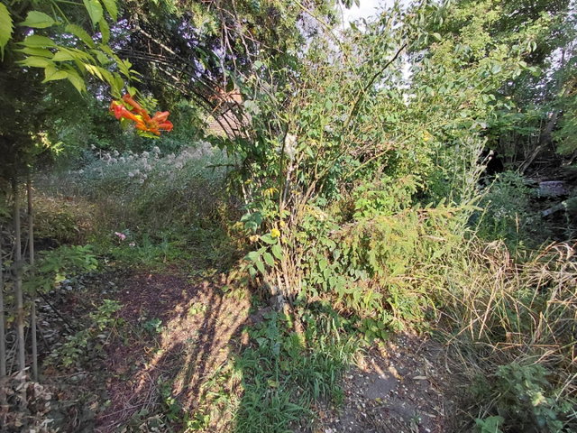 Eladó telek, Szolnokon 23.9 M Ft, 2 szobás / költözzbe.hu