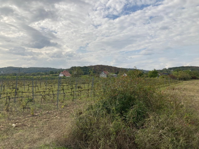 Eladó telek, Vászolyon 45 M Ft / költözzbe.hu