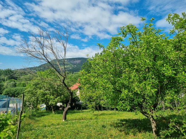 Eladó családi ház, Badacsonytomajon 91.5 M Ft, 3 szobás