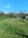 Eladó telek, Gyomaendrődön, Dobó István utcában 2.5 M Ft
