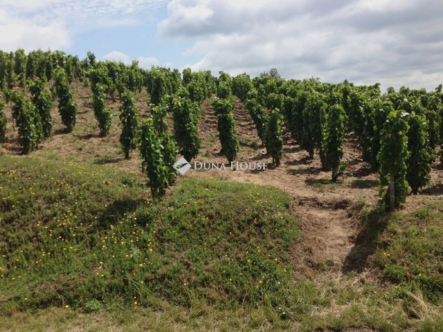 Eladó mezogazdasagi ingatlan, Tokajban 48.88 M Ft