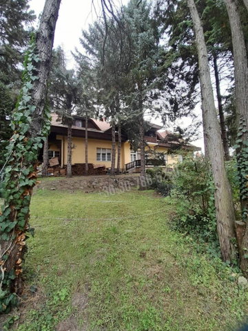 Eladó családi ház, Gödön 710 M Ft, 12 szobás