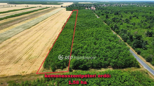 Eladó mezogazdasagi ingatlan, Magyargencsen 12 M Ft
