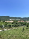 Eladó telek, Kővágószőlősön 15 M Ft / költözzbe.hu