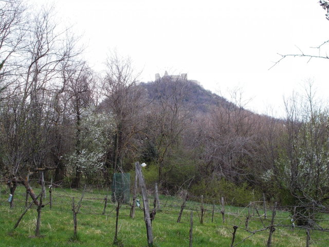 Eladó telek, Szigligeten 60 M Ft / költözzbe.hu