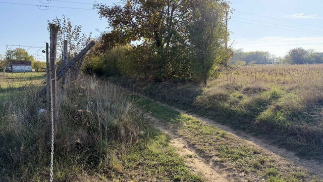Eladó mezogazdasagi ingatlan, Balatonberényben 7.9 M Ft, 1 szobás