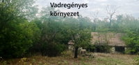 Eladó mezogazdasagi ingatlan, Ágasegyházán 11.9 M Ft
