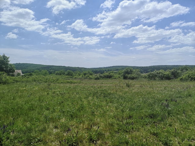 Eladó mezogazdasagi ingatlan, Vászolyon 98 M Ft