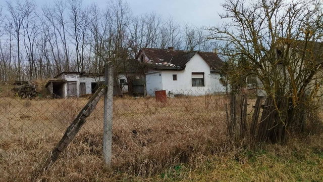Eladó mezogazdasagi ingatlan, Nyírmártonfalván 29.9 M Ft