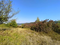 Eladó mezogazdasagi ingatlan, Verőcén 13.5 M Ft